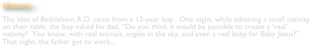 History...
The idea of Bethlehem A.D. came from a 12-year boy.  One night, while admiring a small nativity on their table, the boy asked his dad, “Do you think it would be possible to create a ‘real’ nativity?  You know, with real animals, angels in the sky, and even a real baby for Baby Jesus?”  That night, the father got to work...